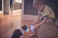 This little boy tried to train his puppy by making him watch YouTube videos