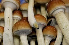 Magic mushrooms might be able to help people with severe depression