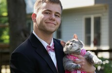 This guy took his cat to prom and became a glorious meme