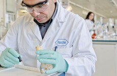 More than 200 jobs set to go at Clare pharmaceutical plant