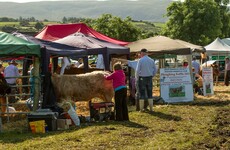 14 things you definitely saw at your local agricultural show every summer