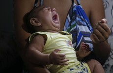 WHO: Zika virus likely to hit Europe this summer