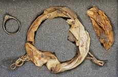 70 years after the liberation of Auschwitz, a gold ring and necklace are found hidden in an old mug
