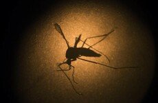 Obama is not impressed that he hasn't been given €1 billion to fight Zika