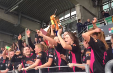 Wexford Youths retain their crown after slugging it out with Shelbourne in title decider