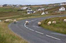 13 tweets that perfectly illustrate Irish country roads