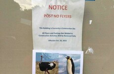 This person had the best response to a 'post no flyers' notice stuck on a wall
