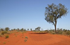 Man jailed for nine years for raping German backpacker in Australia