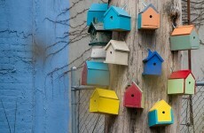 Rents rise across Ireland for first time since 2008