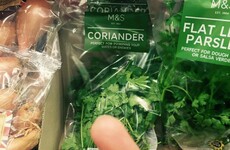 10 facts of life for people who detest coriander