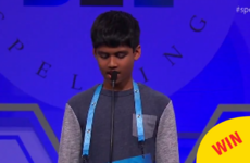This kid had to spell Taoiseach on national telly in the US and nailed it