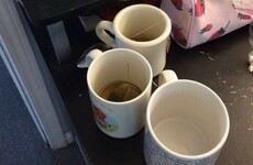 16 pictures that only incredibly lazy people will appreciate