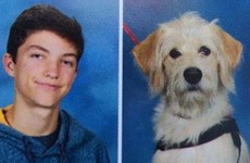 This service dog got an adorable yearbook photo right next to his human