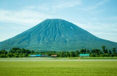 Boy (7) missing in Japan after parents leave him in a bear-inhabited forest as a punishment