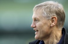 Joe Schmidt rejects notion he is picking Ireland players on reputation