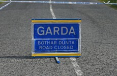 Man dies after being hit by a car