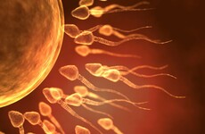 Landmark: First pregnancy using innovative fertility treatment in Ireland