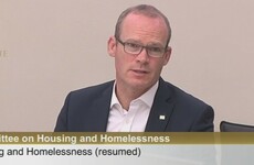 Coveney to miss 100-day housing plan deadline as 'people are not focused on work in August'