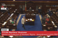 DEFEAT: The government has lost its first vote in the Dáil