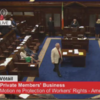 DEFEAT: The government has lost its first vote in the Dáil