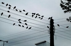 Your crash course in... The long-delayed National Broadband Plan