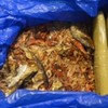 Nearly €100k worth of cannabis found hidden in dried fish