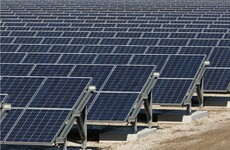 Poll: Should Ireland subsidise solar energy companies to develop here?