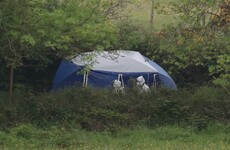 Man and woman arrested over Tallaght shooting