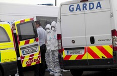 Teenager detained after man stabbed to death at Dublin halting site