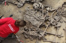 Bones of victims of 6,000 year old massacre discovered in France