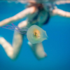 This photo of a fish swimming inside a jellyfish is blowing everyone's mind