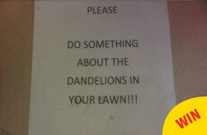 This neighbour had the best response to an angry note about their lawn flowers