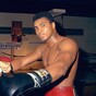 Watching Rocky II with Muhammad Ali and more of the week's best sportswriting