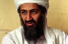 Osama bin Laden was 'tender, gentle family man', says successor