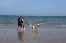 Swimming ban lifted at Portmarnock earlier than expected