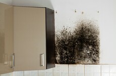 Landlords could face NCT-style checks to bring rental properties up to standard