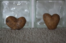 Learn to love the spud again - Bord Bia