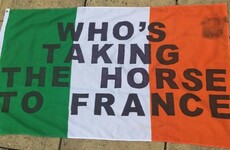 16 slogans only Irish fans could bring to the Euros