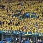 There was an Irish fan dressed as a leprechaun in the middle of the Swedish crowd
