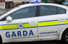 Gardaí get new crime scene kits to collect evidence at domestic violence calls