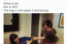 Leaving Cert students had the most hilarious reactions to yesterday's nightmare Irish Paper 2