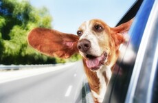 Tunes to Get You Over Hump Day