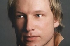 Norway killer Breivik planned to 'kill politicians'