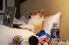 Here's what's going viral right now: Monday