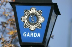 Two arrested over €600,000 drugs seizure in Portlaoise