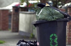 Coveney set to freeze bin charges for 12 months