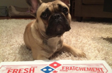 13 signs your Domino's addiction has gone too far
