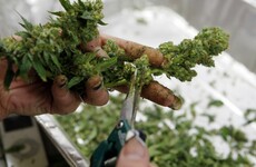Ireland should stop wasting resources on arresting people caught with small amounts of drugs