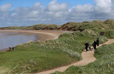 Donald Trump's 'Irish wall' could be in trouble