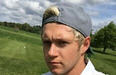 Niall Horan just called Nigel Farage a 'terrible man'... it's The Dredge